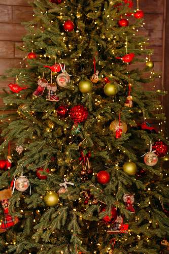 ornament green and red Christmas tree plant